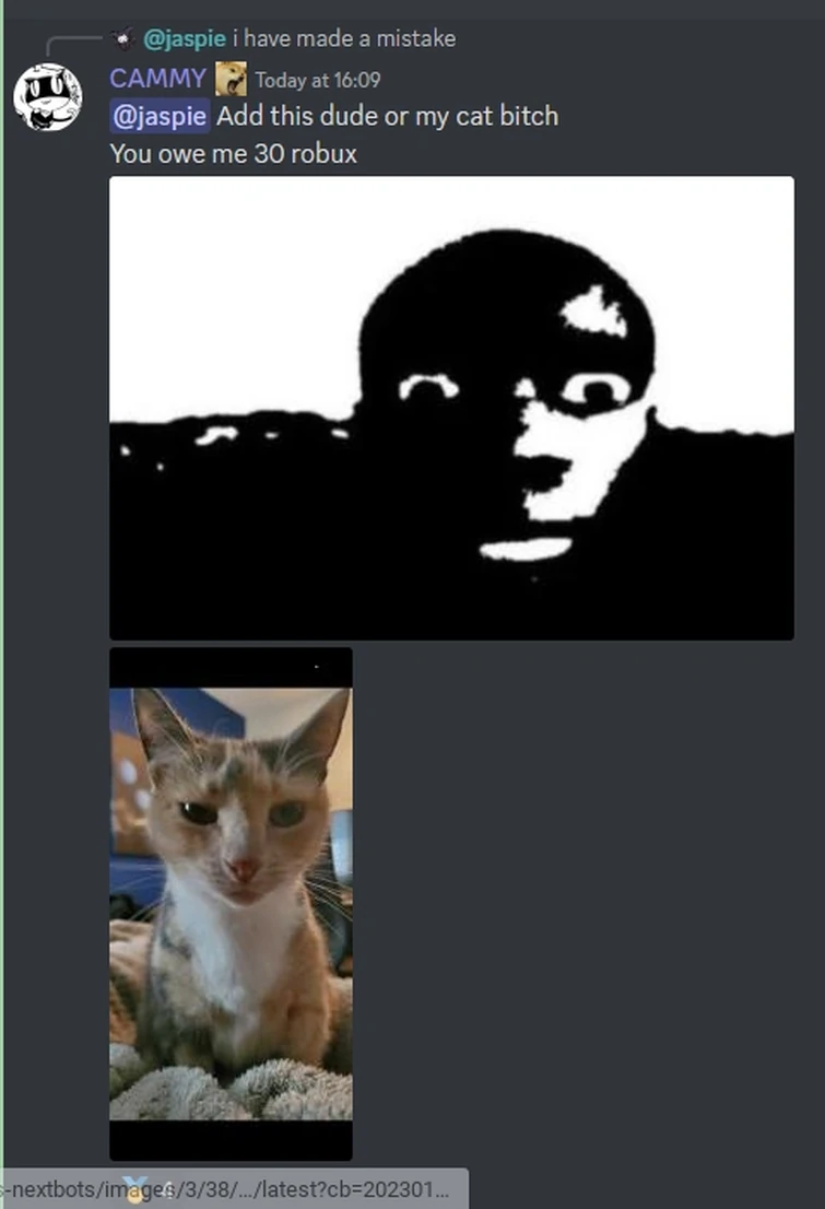 What Cammy is saying. Fandom