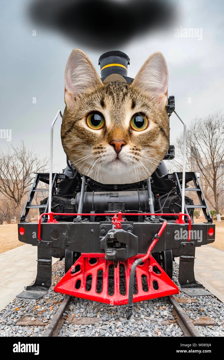 the boston steamer Fandom