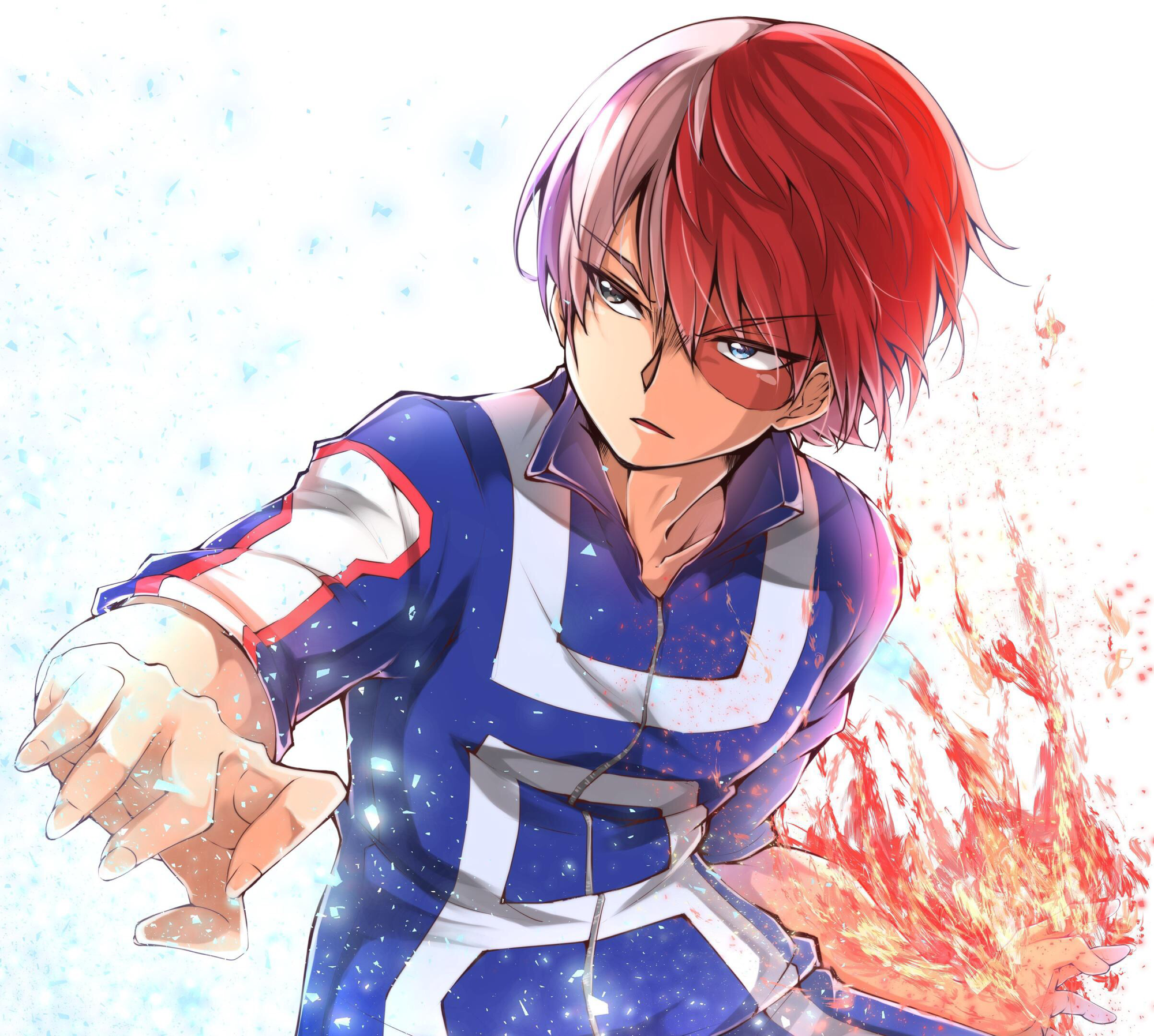 MY HERO ACADEMIA Shoto Todoroki Fandom