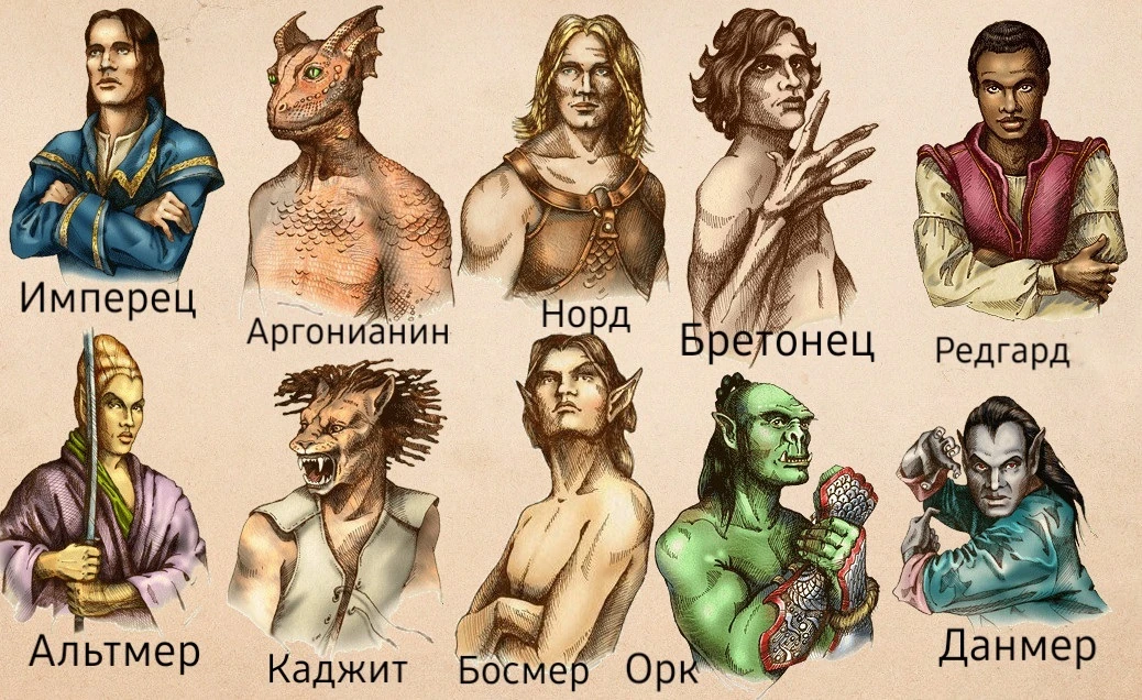 Какая раса древних свитков ваша самая любимая? | Fandom