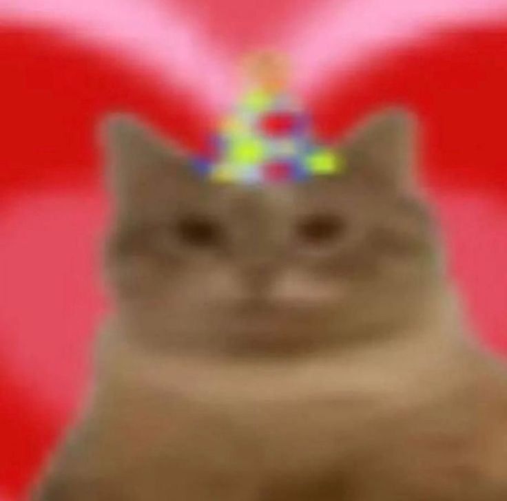 reply-for-a-dumb-cat-picture-pt-2-fandom