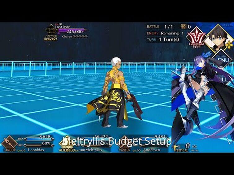 [FGO NA] SE.RA.PH Lost Man Fight — Meltryllis Budget Setup