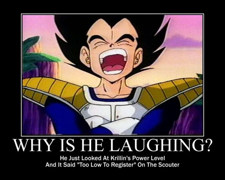 Dbのミームって面白いと思うんだけど よくわからないんだよね I Think Db Memes Are Interesting But I Don T Really Understand Them Fandom