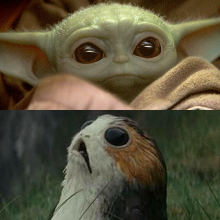 Baby Yoda and Porg