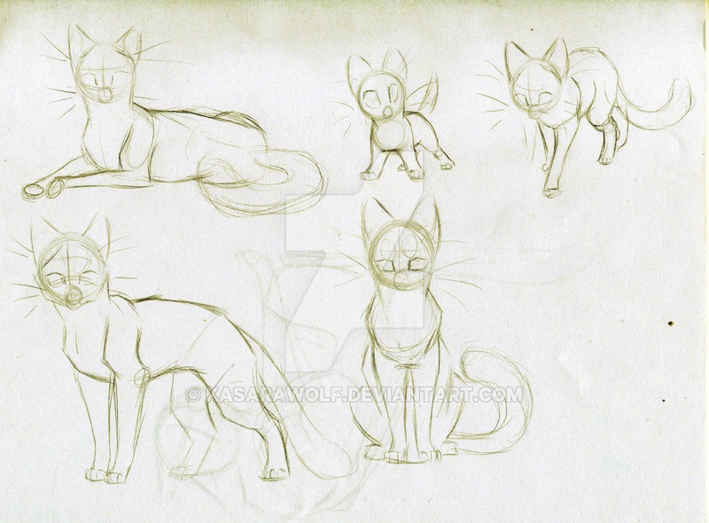 Учимся рисовать котов воителей