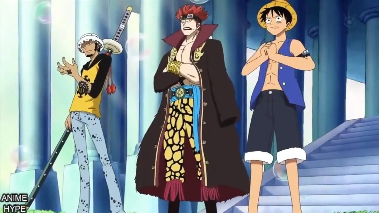 Straw hat fleet in Wano? Fandom