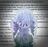 Hanging-with-gnomies's avatar