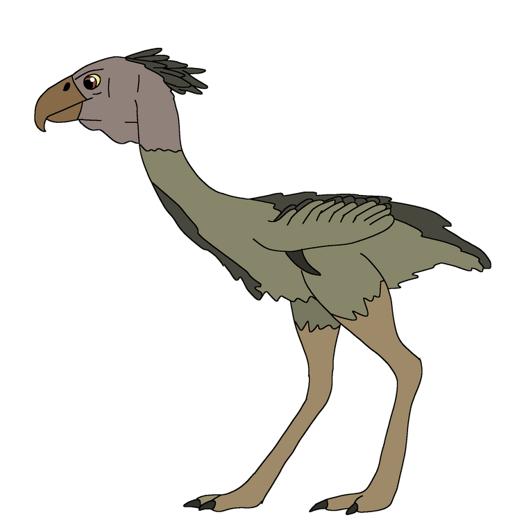 Fandom Image