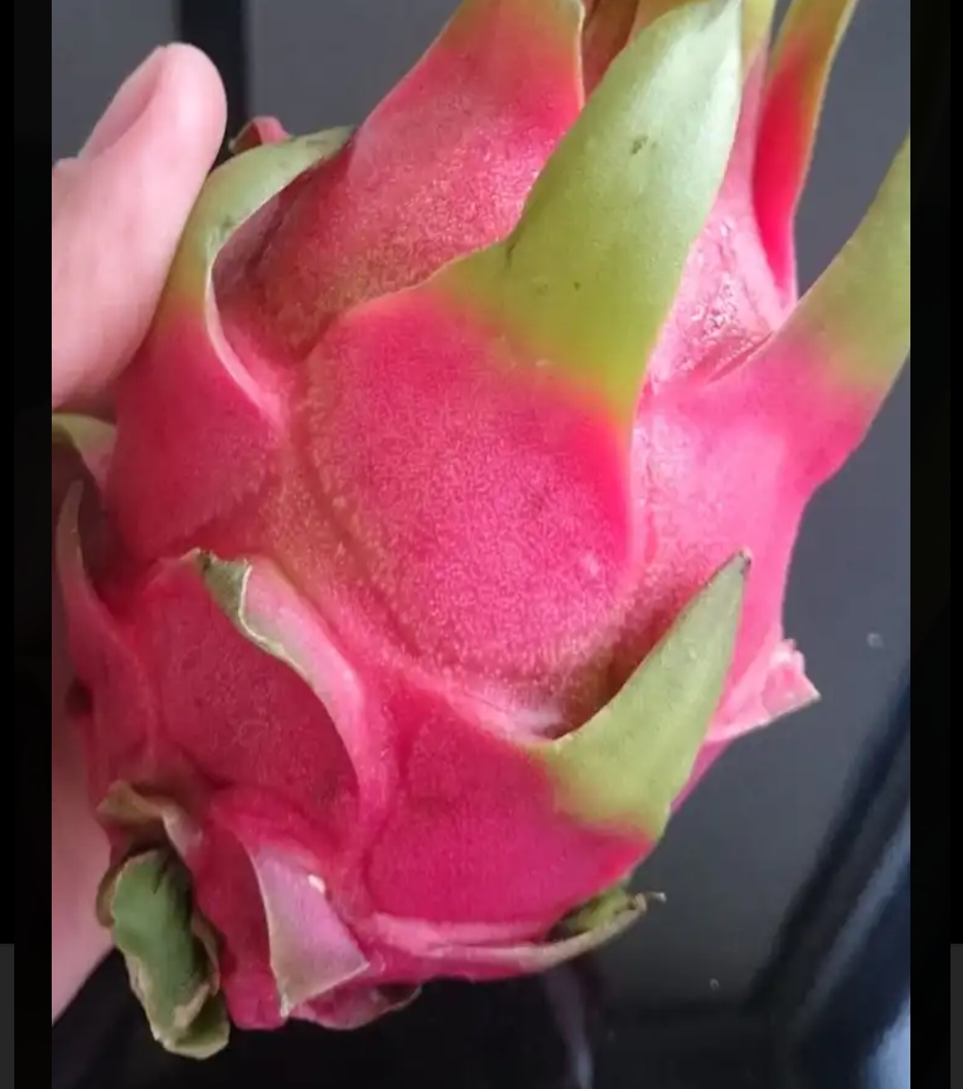 Как выглядит аллергия на драконий фрукт Более 48 700 работ на тему "Edible Cactus Fruit Pic": стоковые фото, картинки и