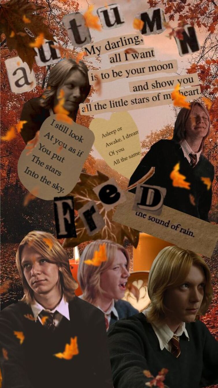 Fandom Image