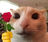 Yarnthesilly's avatar