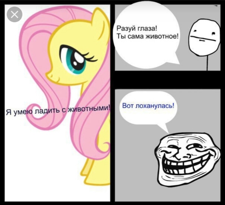 Мой маленький пони мемы картинки