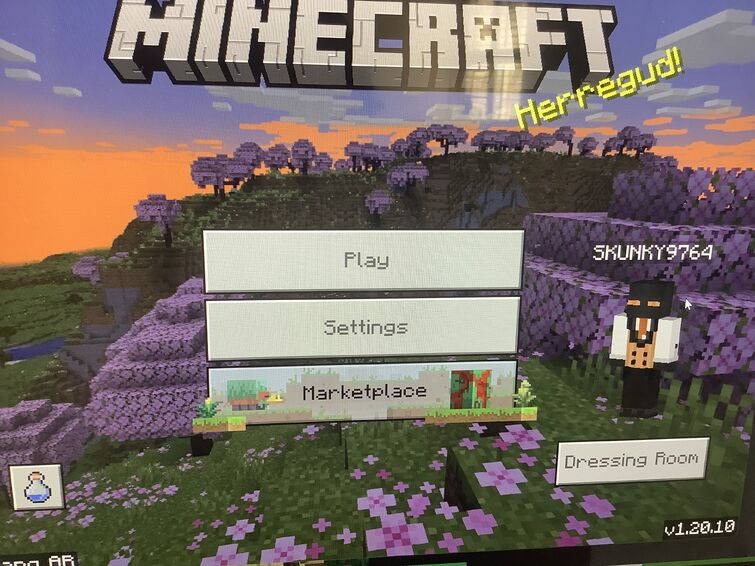 I LOST MY MINECRAFT ACCOUNT