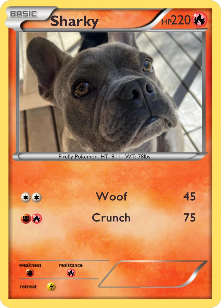 I made a Pokmon card of my dog | Fandom