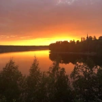 用語一覧 One Piece Wiki Fandom