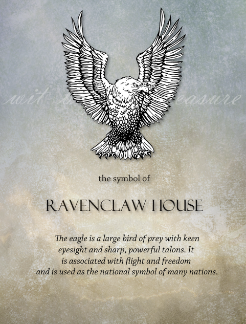 Ravenclaw in 2023  Ravenclaw, Medieval witch, Animal symbolism