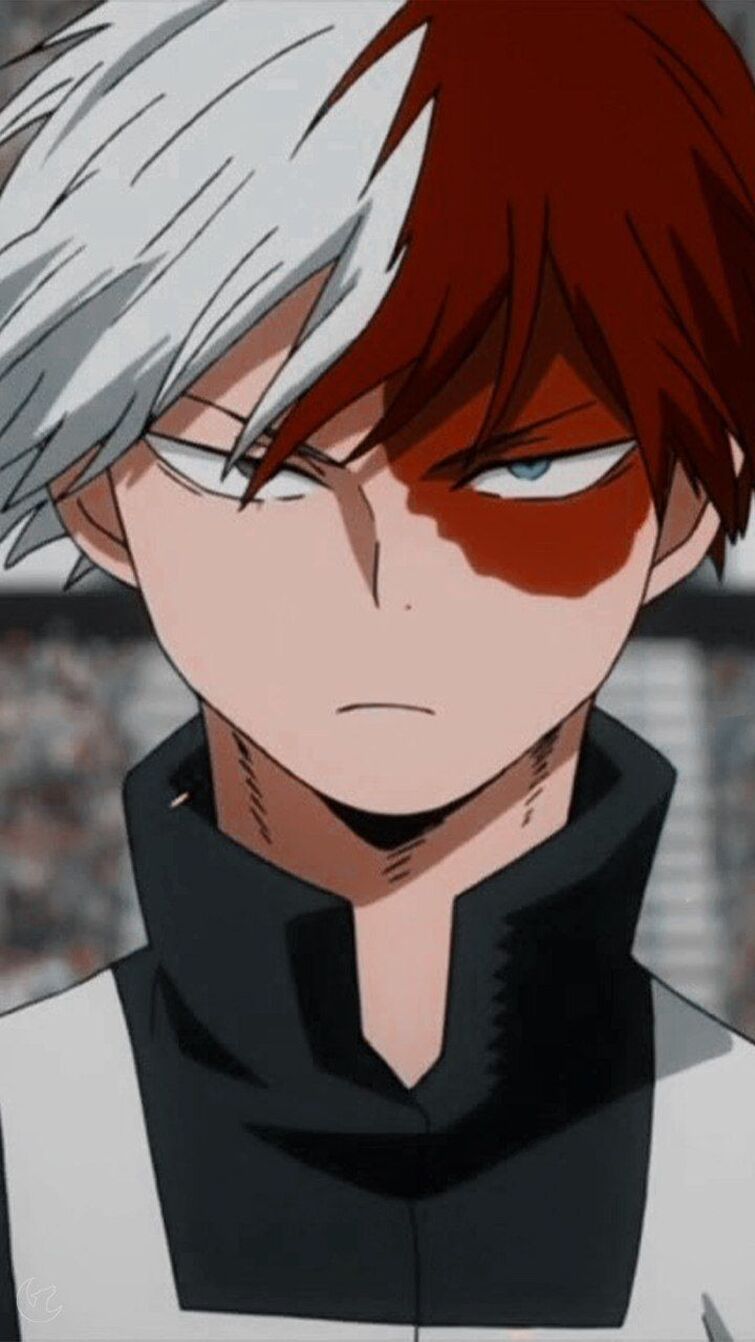 Happy Birthday Shoto Todoroki Fandom