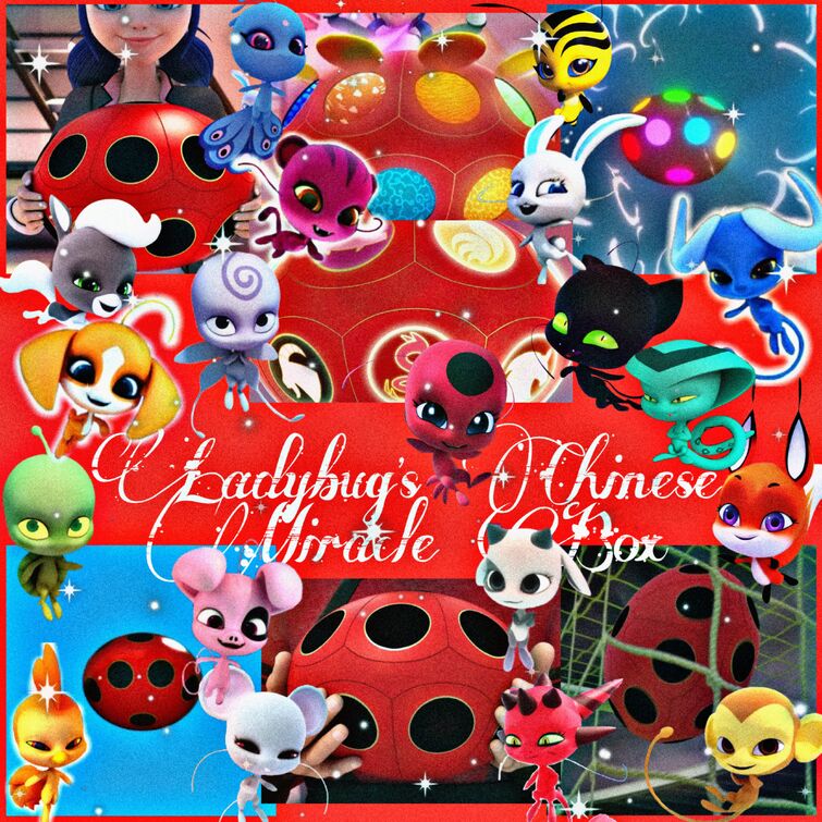 Chinese Miracle Box, Miraculous Ladybug Wiki