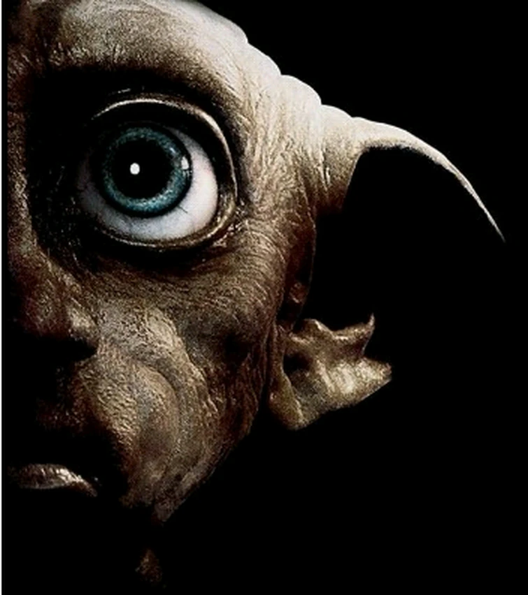 A morte de Dobby. ?