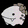 CoralFeverenthusiast