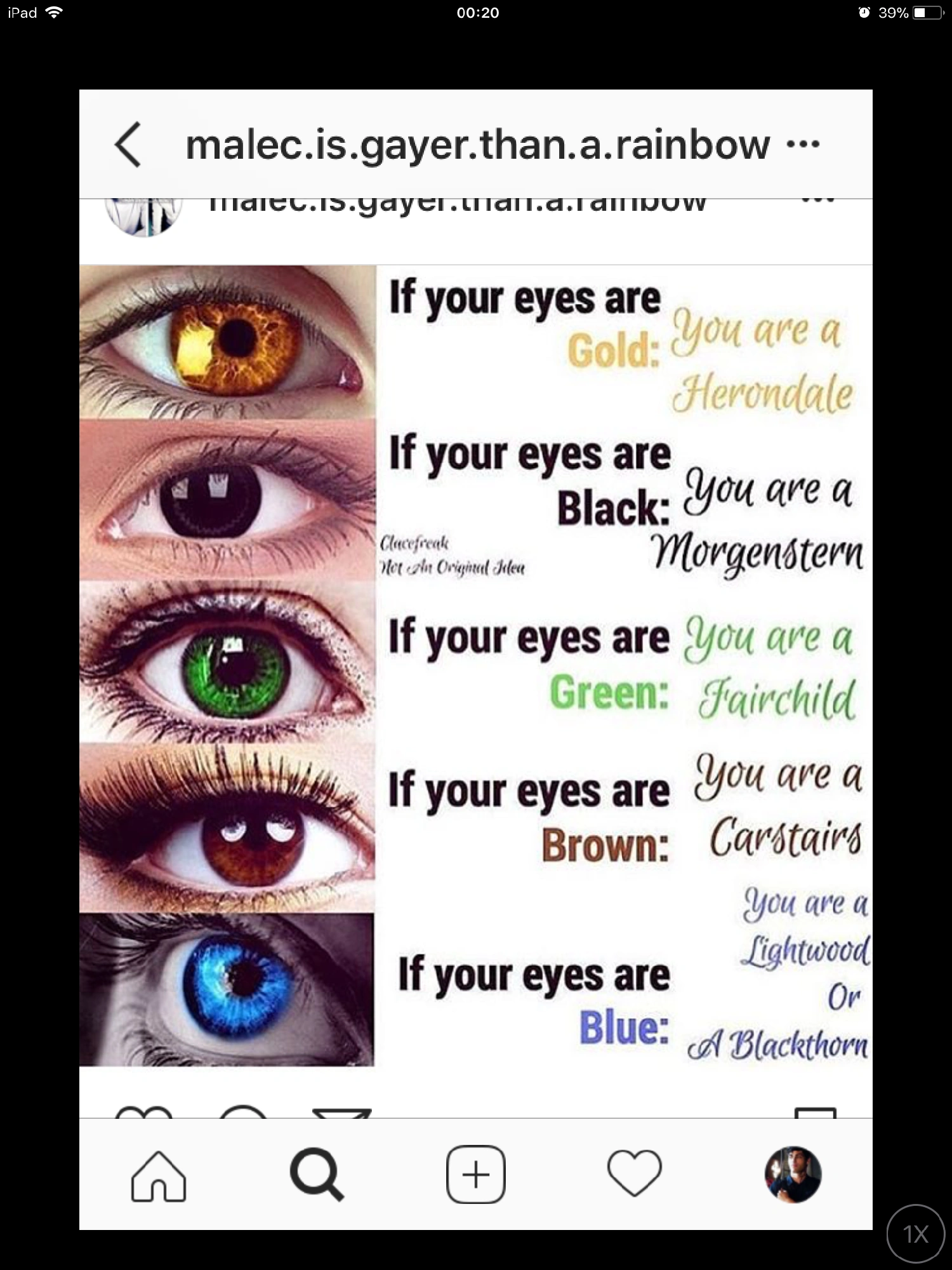 In What Shadowhunter Family Are You? | Fandom