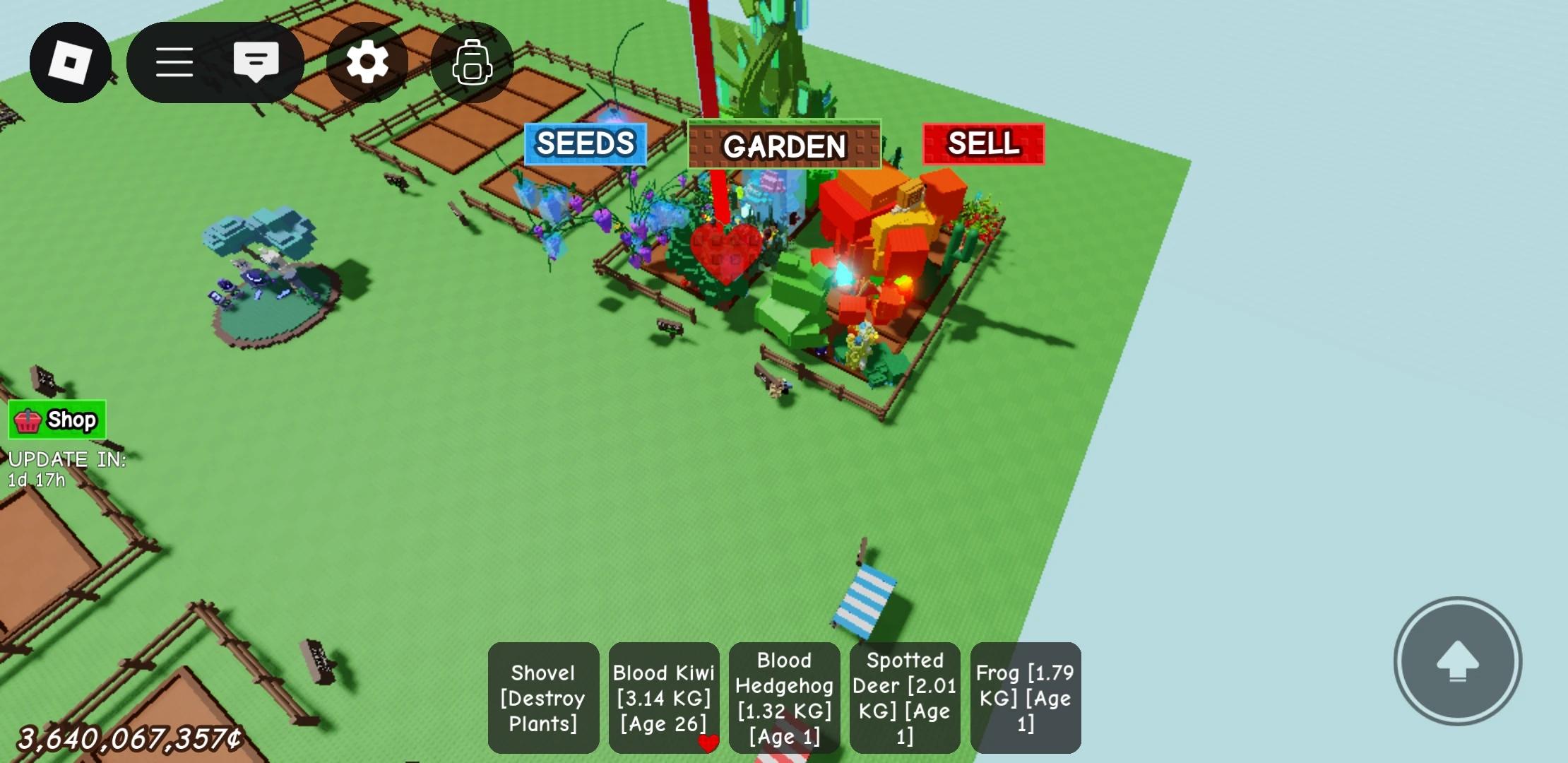 how-rare-is-a-giant-frog-fandom