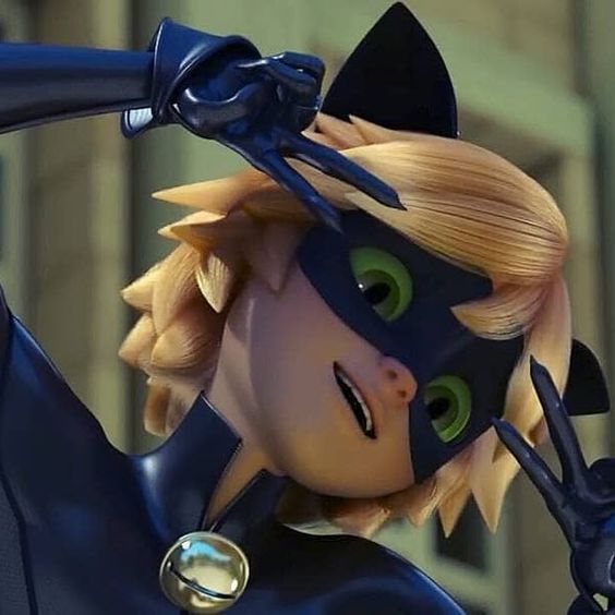 Cat Noir Fandom