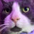 TheNerfr's avatar