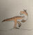 Ornithomimus65's avatar