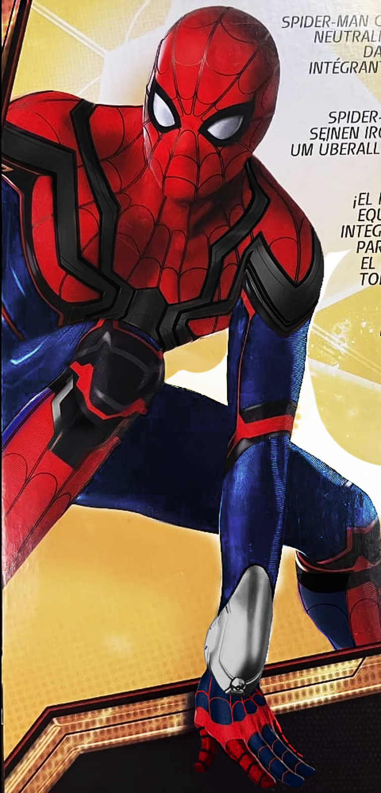 Fandom Image