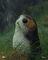 DPat7567's avatar