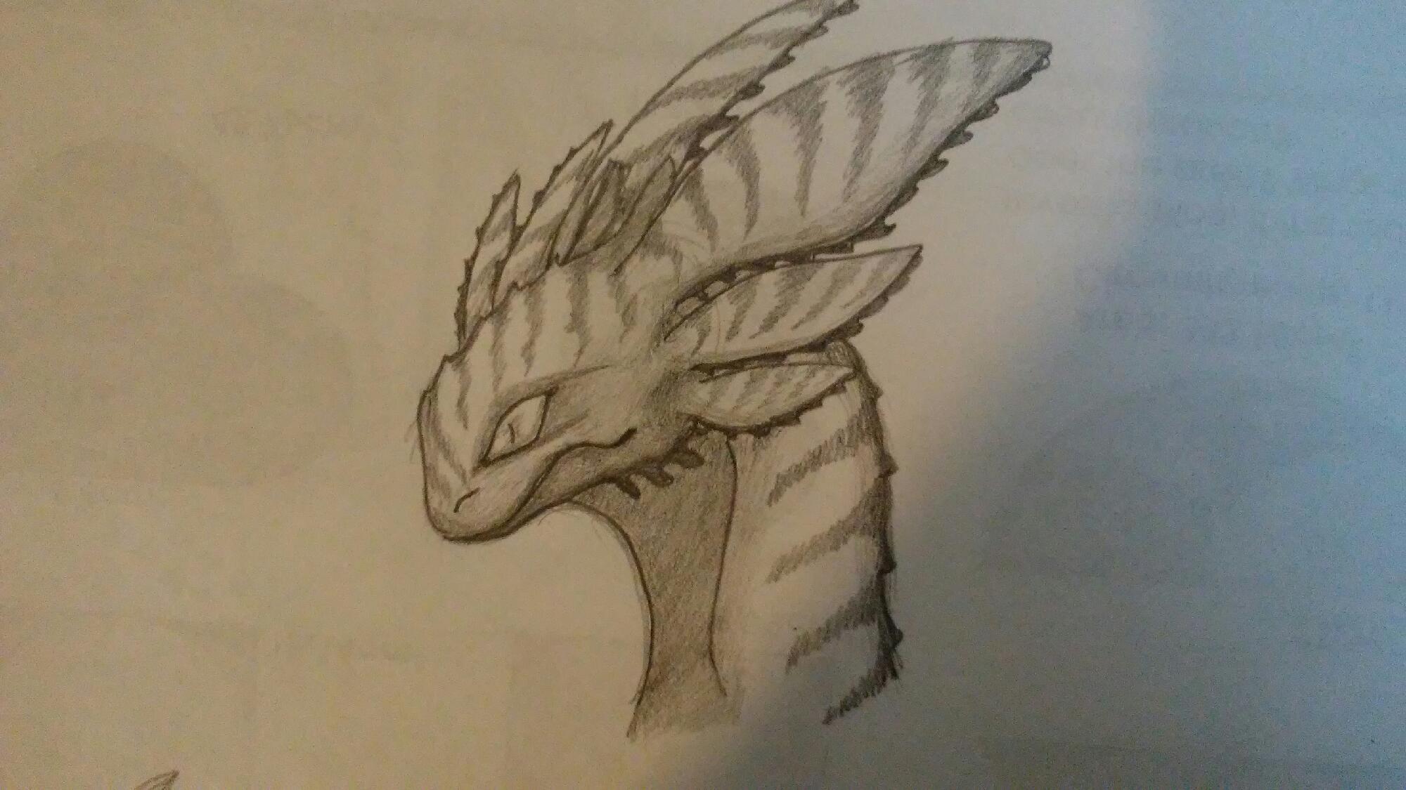 night fury dragon drawing