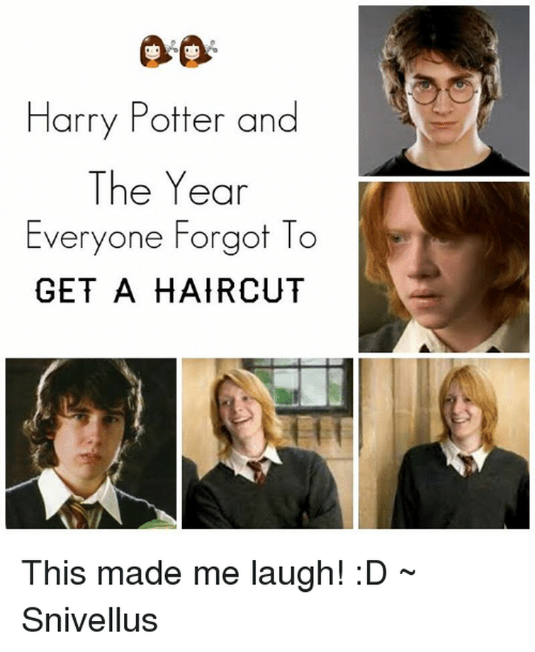 Corny Harry Potter Memes We Couldn't Help But Laugh At