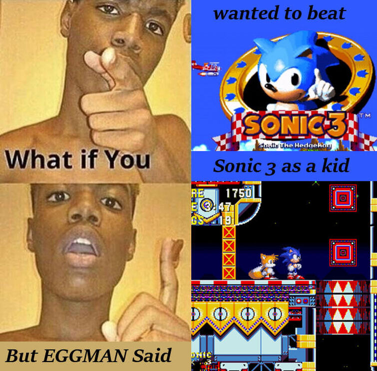 Sonic Meme 1 | Fandom