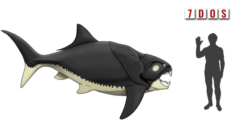 The New Look of Dunkleosteus | 7 Days of Science