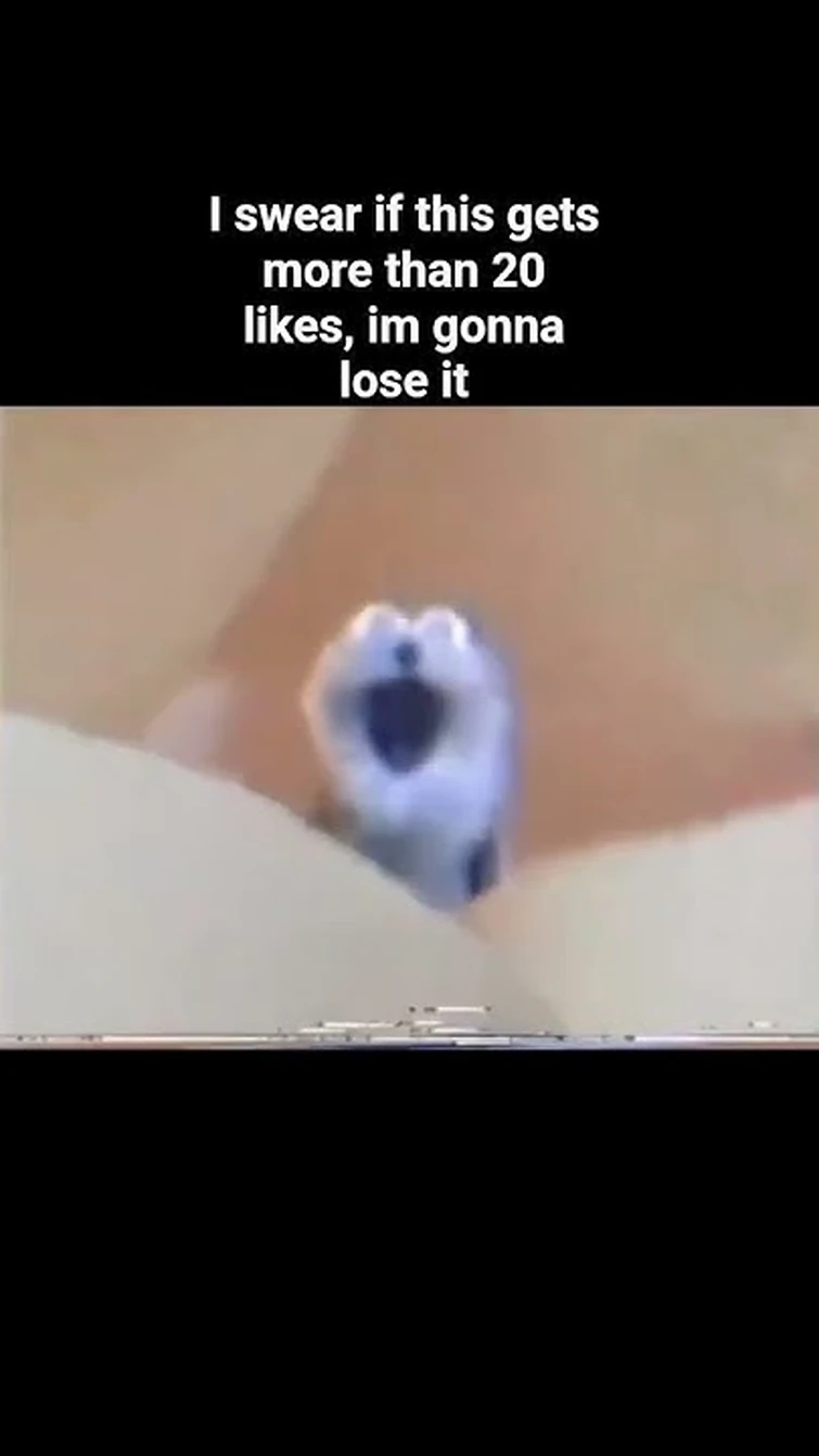 im actually gonna lose it #meme #angry #funny #trending #shorts #viral