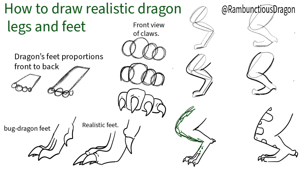 How to draw realistic (JA) dragon feet and legs Fandom