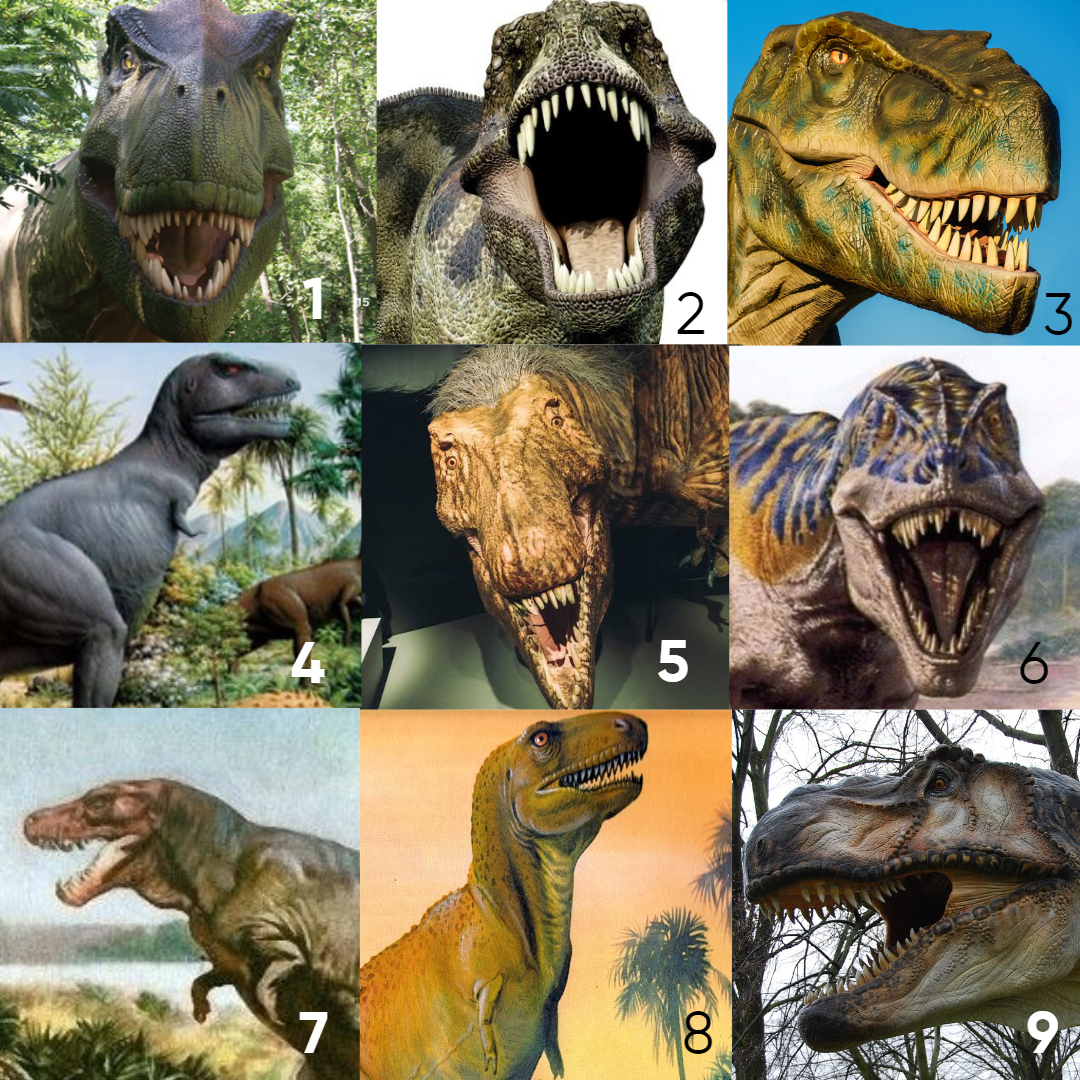 on-a-scale-of-tyrannosaurus-how-do-you-feel-today-fandom