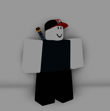 Image (4).png