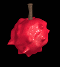 Rokakaka Fruit