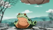 Hamonfrog