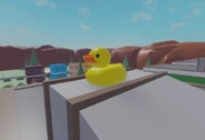 The rubber duck.