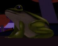 A more in-depth/zoomed-in look of the frog.