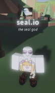 "Seal.io"