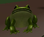 Frog (90 KB) Frog