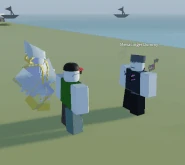 The World Over Heaven's Ascccended MUDA Barrage (Kicks).