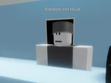 Random Pot Head