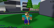 Steve .png