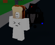 Shadow The World Requim.png