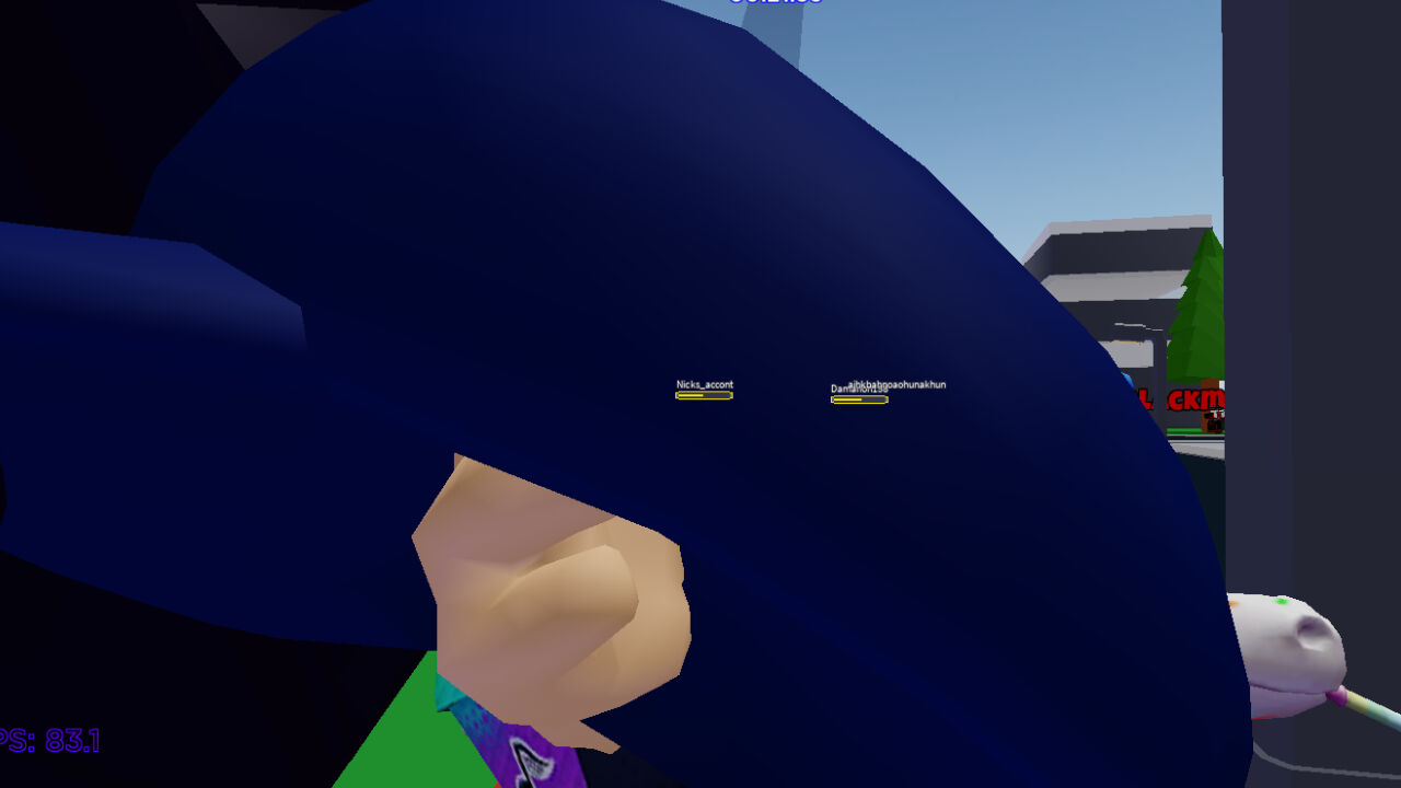 RobloxScreenShot20210307 165245983.jpg